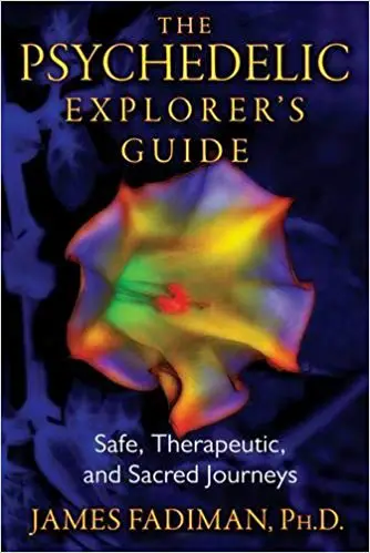 Guia do Explorador Psicodélico: viagens seguras, terapêuticas e sagradas