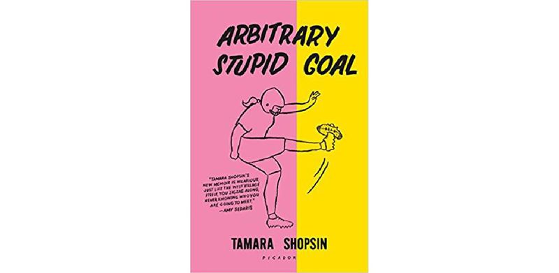 Arbitrary Stupid Goal - cover