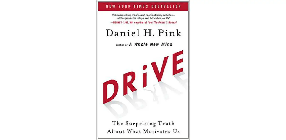 Drive: The Surprising Truth About What Motivates Us