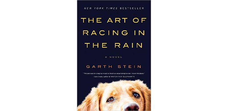 The Art Of Racing In The Rain - cover