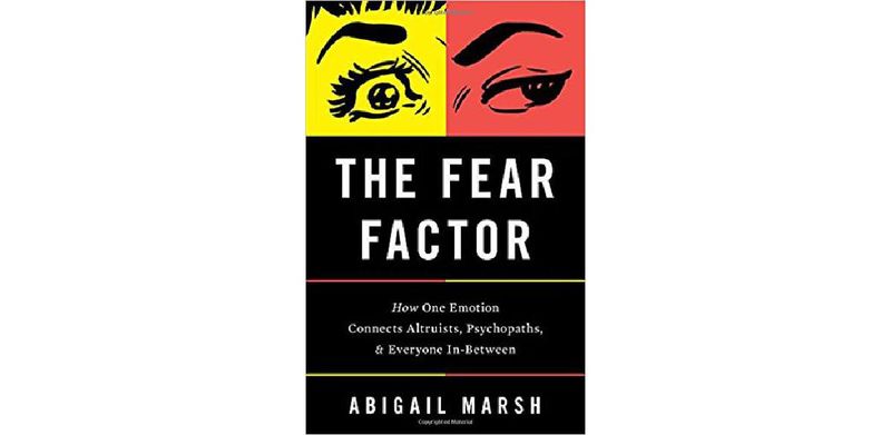 The Fear Factor - cover