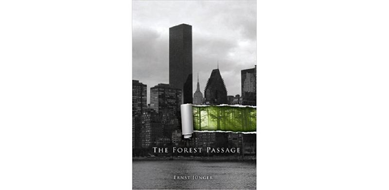 The Forest Passage