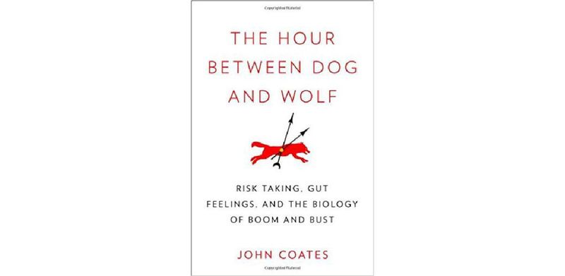 The Hour Between Dog and Wolf: Risk Taking, Gut Feelings and the Biology of Boom and Bust