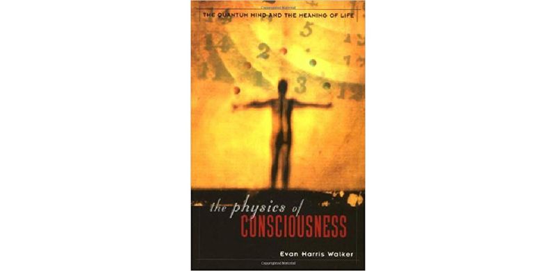 The Physics Of Consciousness: The Quantum Mind And The Meaning Of Life - cover