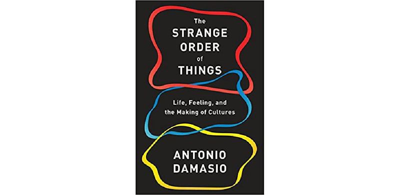 The Strange Order of Things: Life, Feeling, and the Making of Cultures - cover