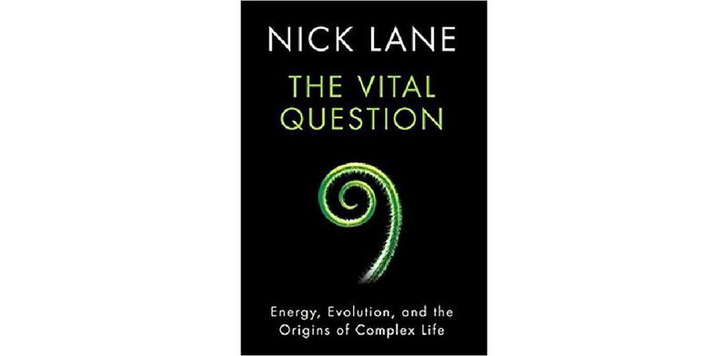 The Vital Question: Energy, Evolution, and the Origins of Complex Life - cover