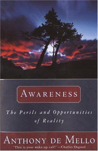 Awareness: The Perils and Opportunities of Reality - cover