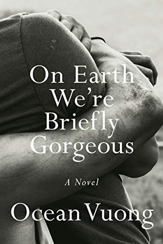 On Earth We're Briefly Gorgeous - cover
